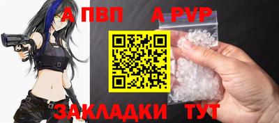 крисы Нальчик
