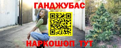 крисы Нальчик